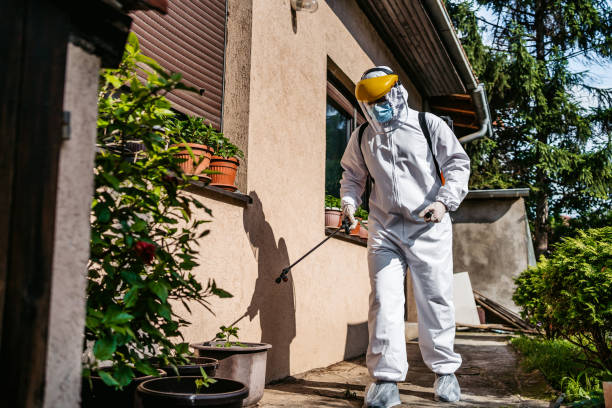 Best Pest Control Near Me in Early, TX