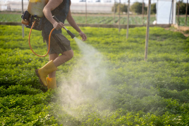 Best Exterminator Services  in Early, TX