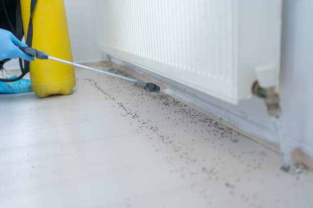 Pest Control Cost in Early, TX